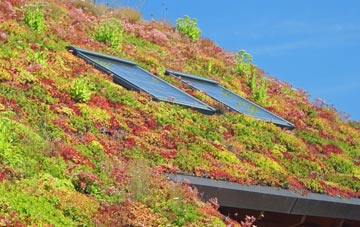 Cumledge living roof systems